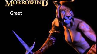 Morrowind Female Khajiit Responses [upl. by Kopaz]