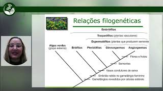 Aula 1 Fundamentos da Morfologia Vegetal mp4 [upl. by Karsten943]