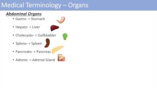 Medical Terminology  The Basics  Lesson 1 [upl. by Gnuhp216]