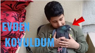 Herkül Sattım Diye Amcamı Trolledim  Evden Kovdu [upl. by Nomannic]