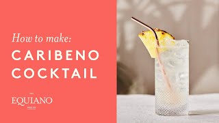 How to make an Caribeno Cocktail  Equiano Rum  Awardwinning [upl. by Learsi]