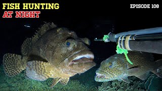 NIGHT SPEARFISHING EPISODE 108  FISH HUNTING AT NIGHT [upl. by Ferwerda165]