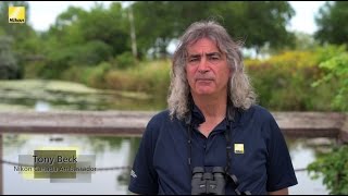 How to Adjust Your Binoculars Presented by Nikon Canada [upl. by Paton945]