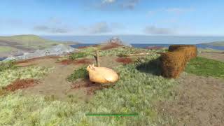 Fallout 4 Driveables of the Commonwealth  Havok Physics  Silliness [upl. by Nosnehpets]