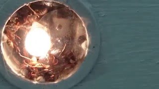 Cooking  Killing wasps in a light fixture 1 [upl. by Arbrab]