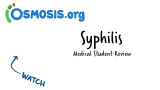 Syphilis  Clinical Presentation [upl. by Nolyat]