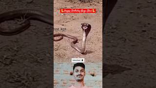 🐍Happy Birthday Nagu 🐍🤣 shorts funny funnyshorts funnyvideo comedy comedyshorts [upl. by Stanfill87]