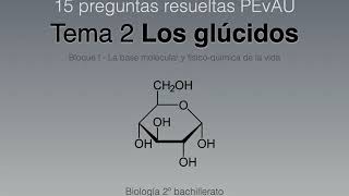 Preguntas resueltas PEvAU quotGlúcidosquot [upl. by Neltiac]