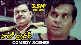 Brahmis Famous Dialogue  Nenu Commongane Chusanu Nuvve Kangaru Paddav  Hello Brother Scenes [upl. by Seavey145]