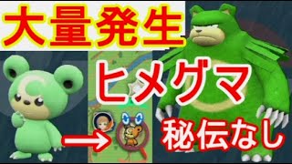 ヒメグマ大量発生【ポケモンsv】リングマ色違い入手方法スパイス秘伝なし実況 [upl. by Aramas]