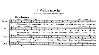 Brahms Waldesnacht Op 62 Nr 3 Für 4st Gemischten Chor A Capella  1965 Telefunken SLT 43100B [upl. by Ahsiram908]