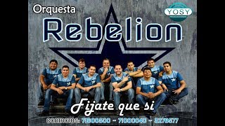 Fijate que si  Orquesta Rebelion [upl. by Dubois]