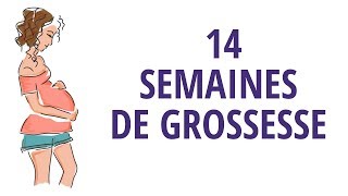 14 semaines de grossesse ou quatorzième semaine de grossesse [upl. by Si]