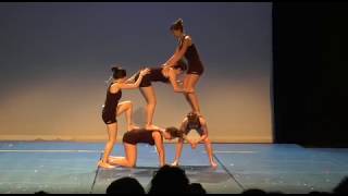 Acro UNSS Yonne 2017 41Iron par le collège Paul BERT [upl. by Il]