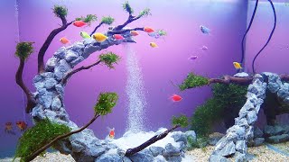 AMAZING WATERFALL AQUARIUM  Aquascape Waterfall Setup Step by Step Tutorial [upl. by Hanima]