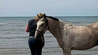 naar het strand met texas [upl. by Ttoille]