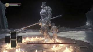 DARK SOULS III  Lvl1 Deprived vs Champion Gundyr No Hit [upl. by Anuaek]