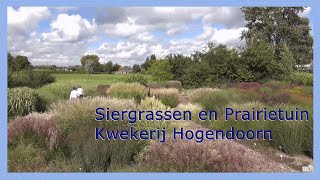 Siergrassen en Prairietuin Hogendoorn 0416  69 21 21 [upl. by Dorey]