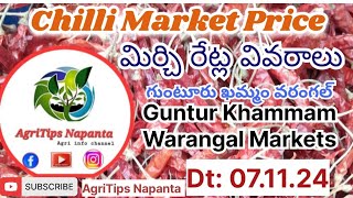 Chilli Price Dt071124 in Guntur Khammam Warangal Markets మిర్చిరేట్లు గుంటూరు chillirates [upl. by Hadlee518]