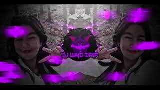 DJ Dola Dola TikTok Viral 2024 DJ Lloyd Drop Remix [upl. by Esinehc442]