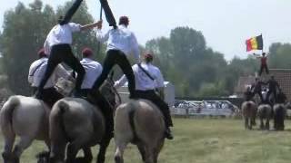 Trekpaarden festival Oostduinkerke [upl. by Amadas]