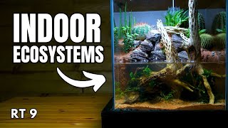 The Secret to Building Indoor Ecosystems [upl. by Grubb]