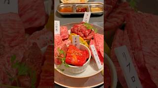 BEST YAKINIKU JAPANESE BBQ RESTAURANT  Kyoto japan [upl. by Shishko14]