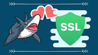 Wiresharking TLS  What happens during TLS 12 and TLS 13 Handshake [upl. by Ly]