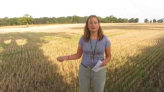 Types of farming arable pastoral and mixed Teaching resource Geography [upl. by Lussi]