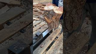 😱 Amazing wood splitting machine Extreme splitting🪓🪵 firewood logsplitter [upl. by Donn]