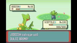 POKEMON EMERALD  SCEPTILE  BARRERA  BARRIER [upl. by Goeselt]