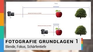 Blende Fokus Schärfentiefe einfach erklärt  Fotografie Grundlagen 1  HD [upl. by Arrik]