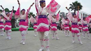 Yosakoi Dance Festival Yokaze ソーラン よさこい  Japanese Traditional Dance [upl. by Tarryn946]