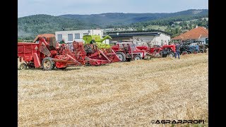 Dreschkirtag Rechnitz  Hanomag Steyr Claas IHC Massey Fergusson Epple [upl. by Croft]