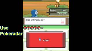 How to get Sentret Pokémon Platinum [upl. by Emmott]