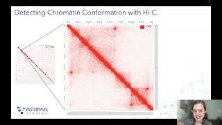 Bioinformatics for the 3D Genome An Introduction to Analyzing and Interpreting HiC Data [upl. by Thea]