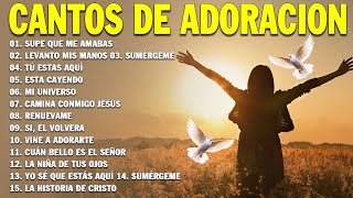 PODEROSAS CANCIONES CRISTIANAS PARA LIBERAR TU MENTE Y EL CORAZÓN 🕊️🕊️ SUPE QUE ME AMABAS 🙏🙏 [upl. by Joanie]