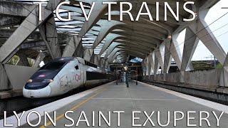 TGV trains Lyon Saint Exupery Station November 2024 TGV in statia Lyon Saint Exupery [upl. by Daahsar823]