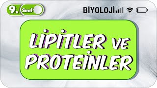 Lipitler ve Proteinler  Öğrenme Garantili Özet Anlatım 2023 [upl. by Lagiba]