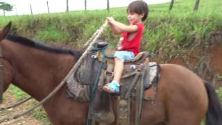 emanuel andando a cavalo3 anos de idade [upl. by Tillo]