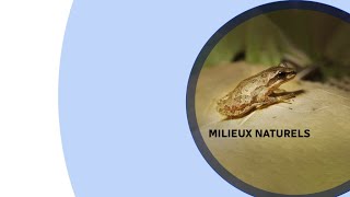 Milieux naturels  22  du Grand Montréal sera protégé [upl. by Eedna275]