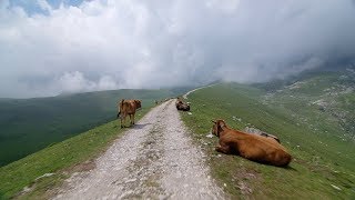 Crossing Picos de Europa  Indoor Cycling Training [upl. by Sucam]