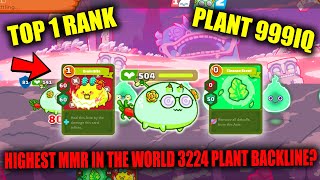 TOP 1 RANK GLOBAL 3224 MMR USING PLANT BACKLINE 🍈🍎🍍 999IQ GENIUS BUILD THE BEST META  AXIE INFINITY [upl. by Upali]