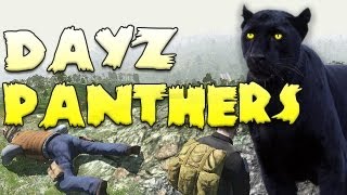 DayZ Panthers  Hive Heroes Episode Five [upl. by Ariajay869]