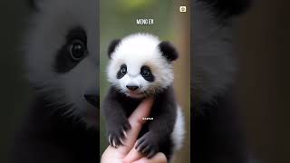 Bamboo Panda 😨 shorts facts fact factshorts amazingfacts viralshorts trending panda ytshort [upl. by Nireves]