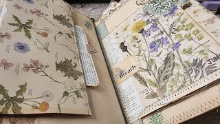 Adding Tags to the Meadow Journal [upl. by Vihs]