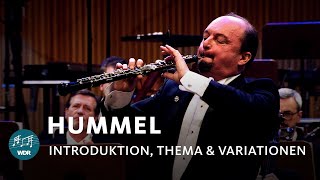 Hummel  Introduktion Thema und Variationen  François Leleux  WDR Sinfonieorchester [upl. by Aizti]