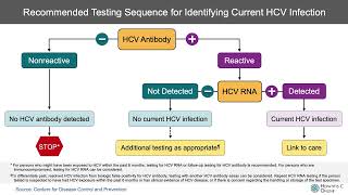 Hepatitis C Virus Screening and Diagnosis [upl. by Philipines943]