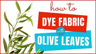 How to Dye Fabric with Olive Leaves [upl. by Nnyloj]