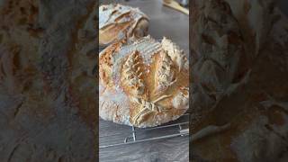 Baking sourdough bread without pizza stone or dutch oven Dough Therapy [upl. by Anawahs846]